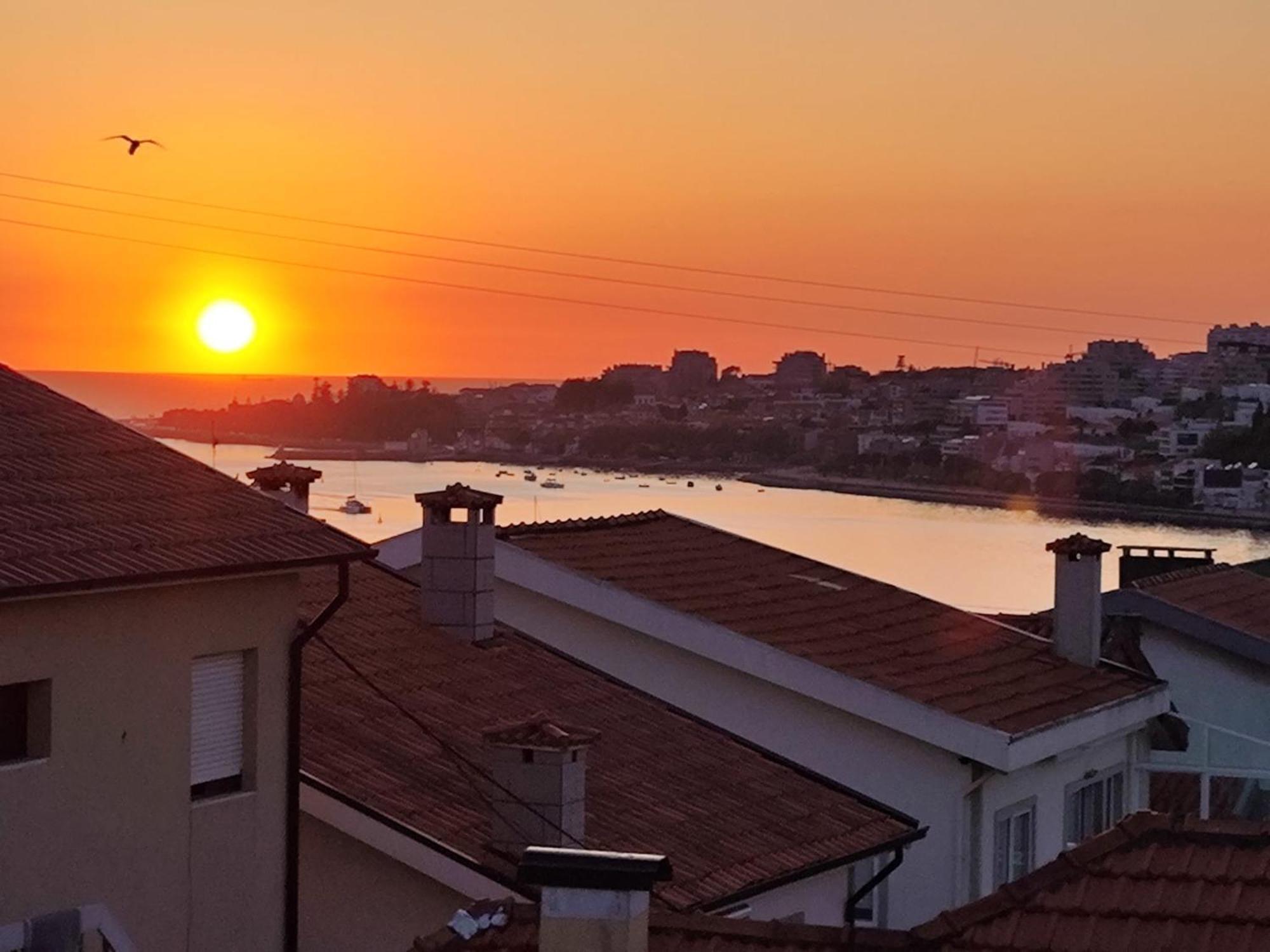 빌라노바데가이아 Casa Mira Douro 빌라 외부 사진